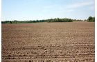 Property photo 5 - REAL ESTATE AUCTION - 126+/- ACRES OFFERED IN 4 TRACTS IN GREENE COUNTY, INDIANA